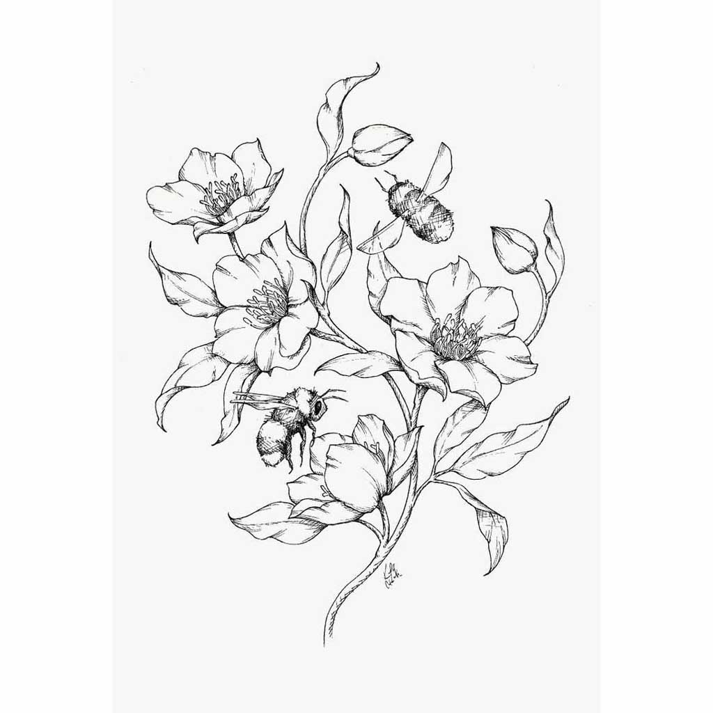 outline black and white flower drawing
