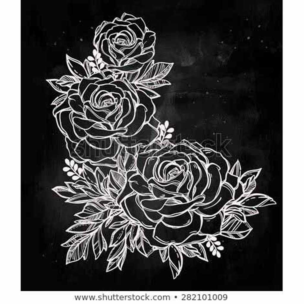 Rose flower black and white drawing
