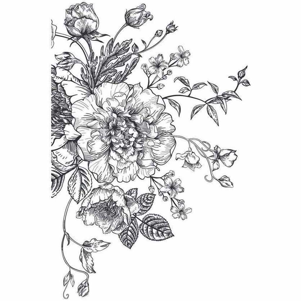botanical flower drawings black and white
