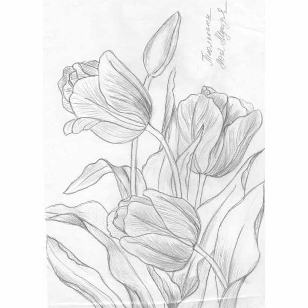 black and white flower drawing easy

