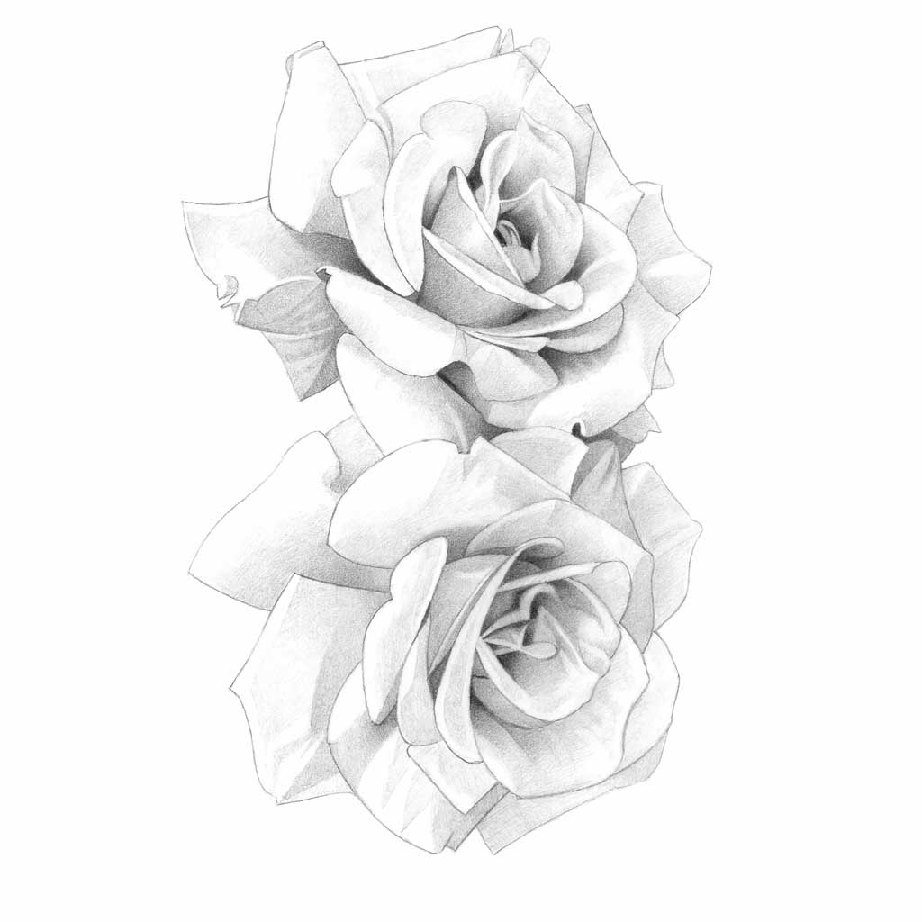 black and white flower bouquet drawing
