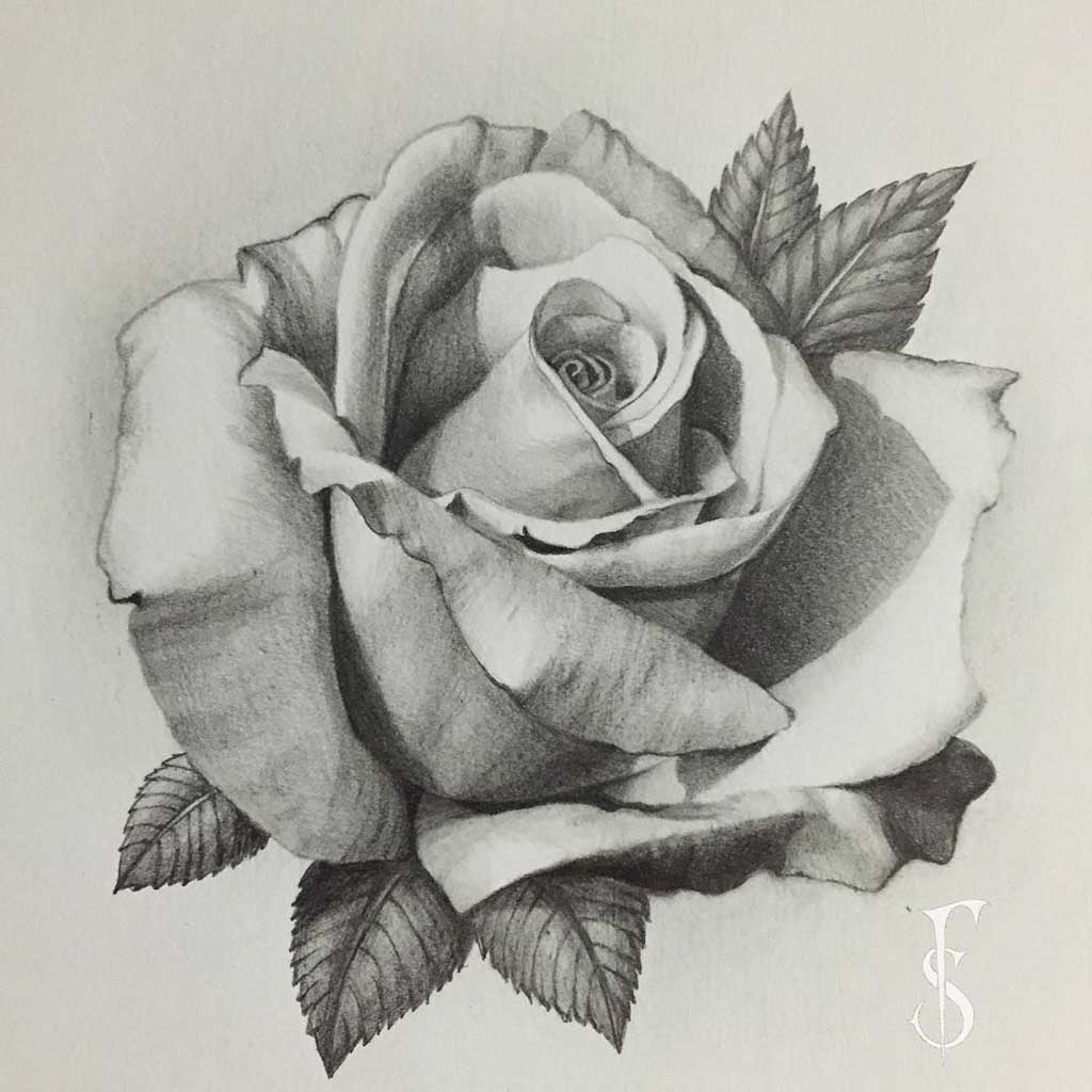 realistic black and white flower drawing
