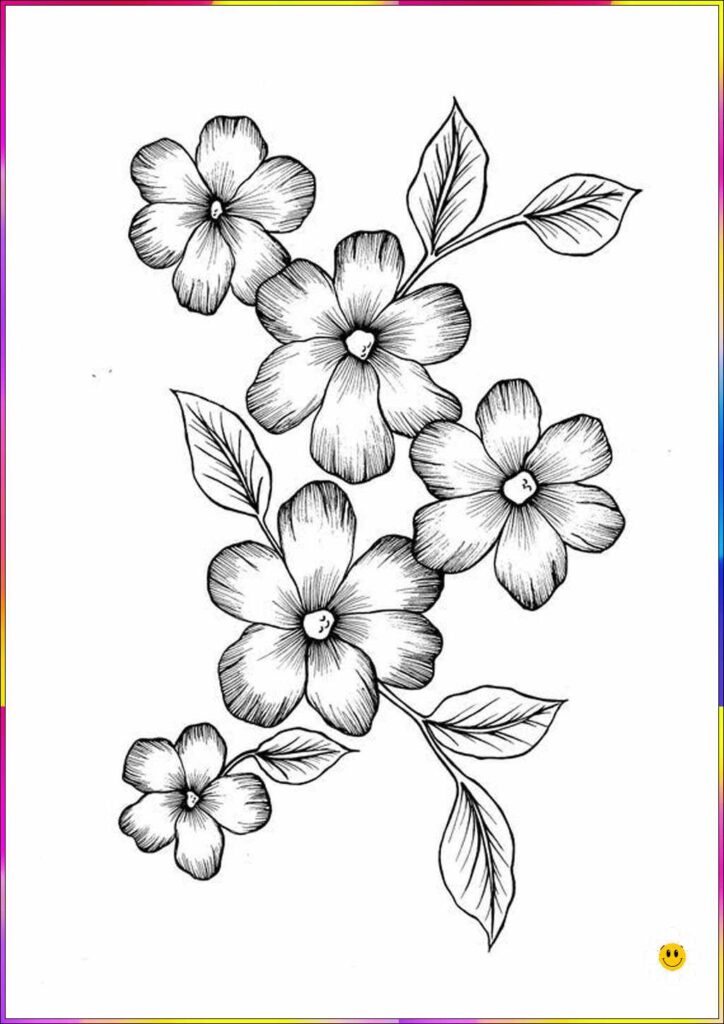 Easy Flower Drawing