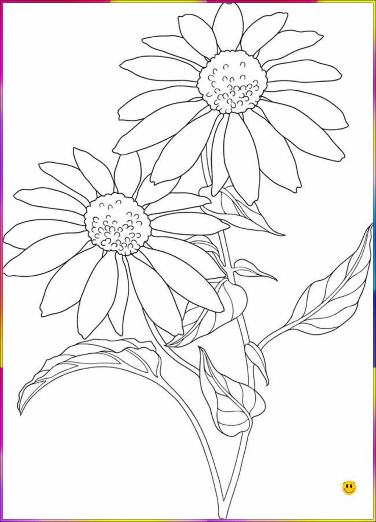 Flower Drawings for beginners