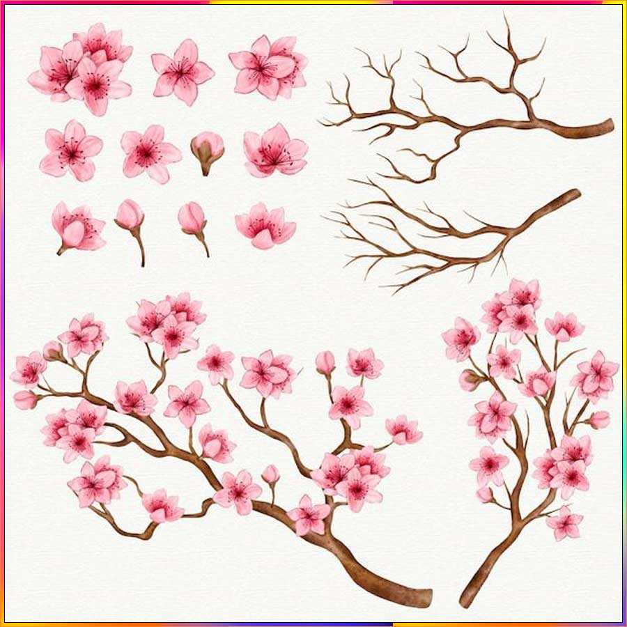 cherry blossom easy drawing