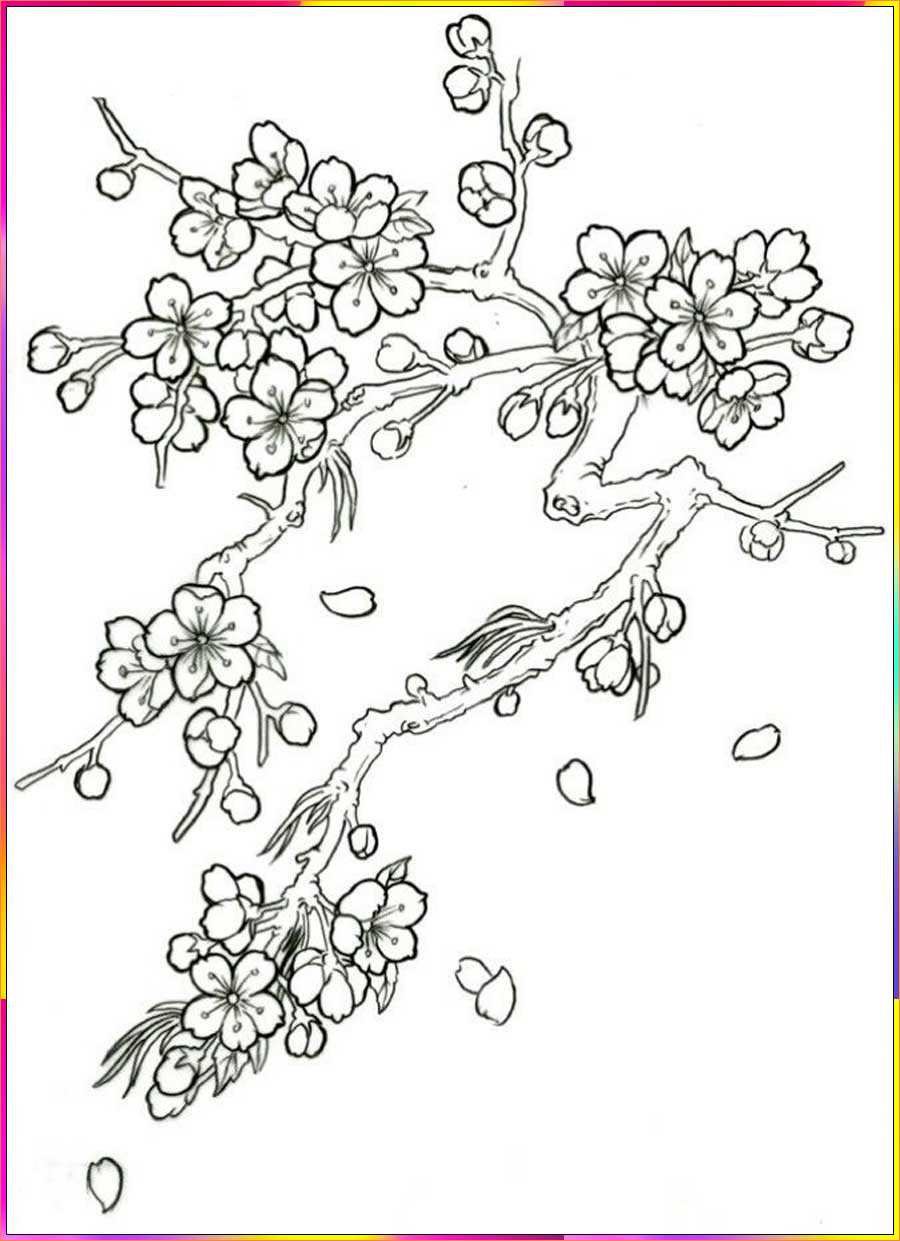 easy cherry blossom drawing