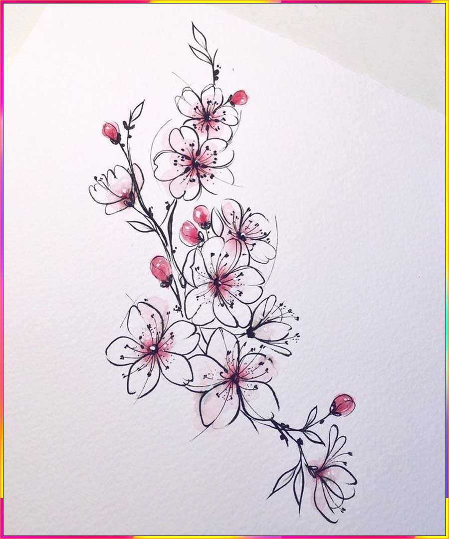 cherry blossoms drawing