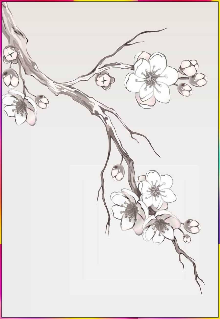 drawing cherry blossoms