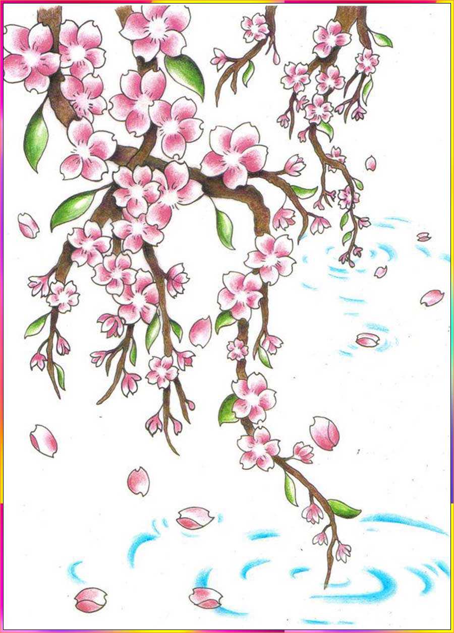 cherry blossom drawings