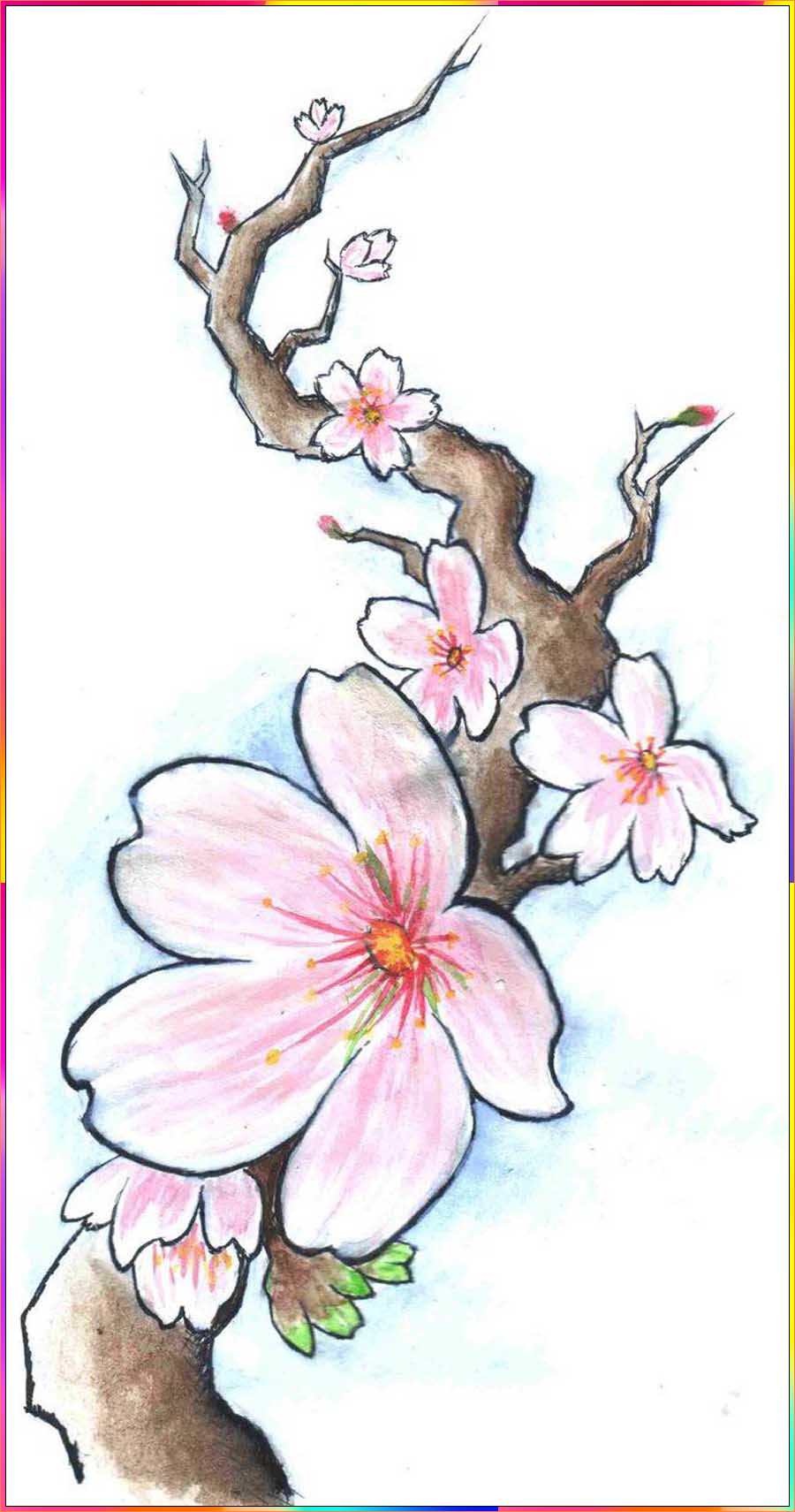 cherry blossom drawing easy