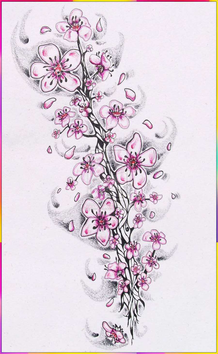 cherry blossom outline drawing