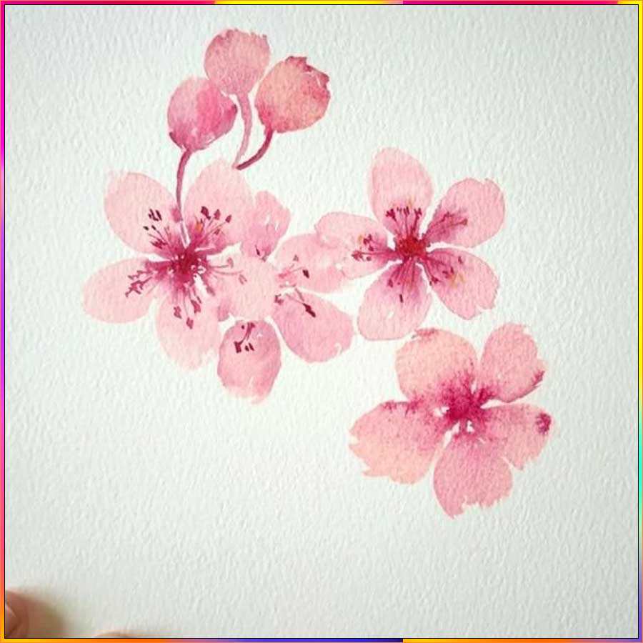 cherry blossoms drawings