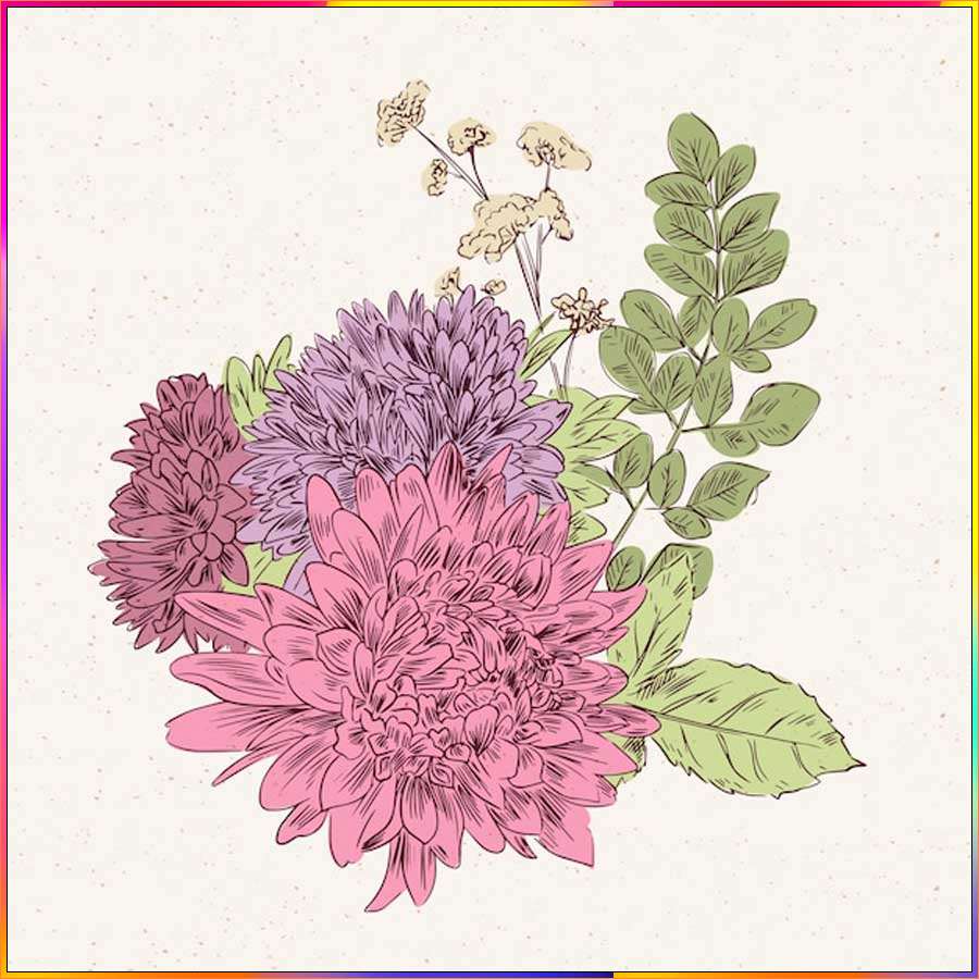 aster flower drawing easy