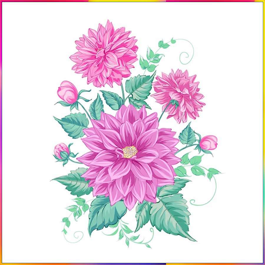 aster flower drawing ideas