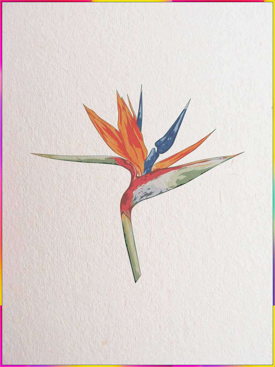 bird of paradise drawing easy