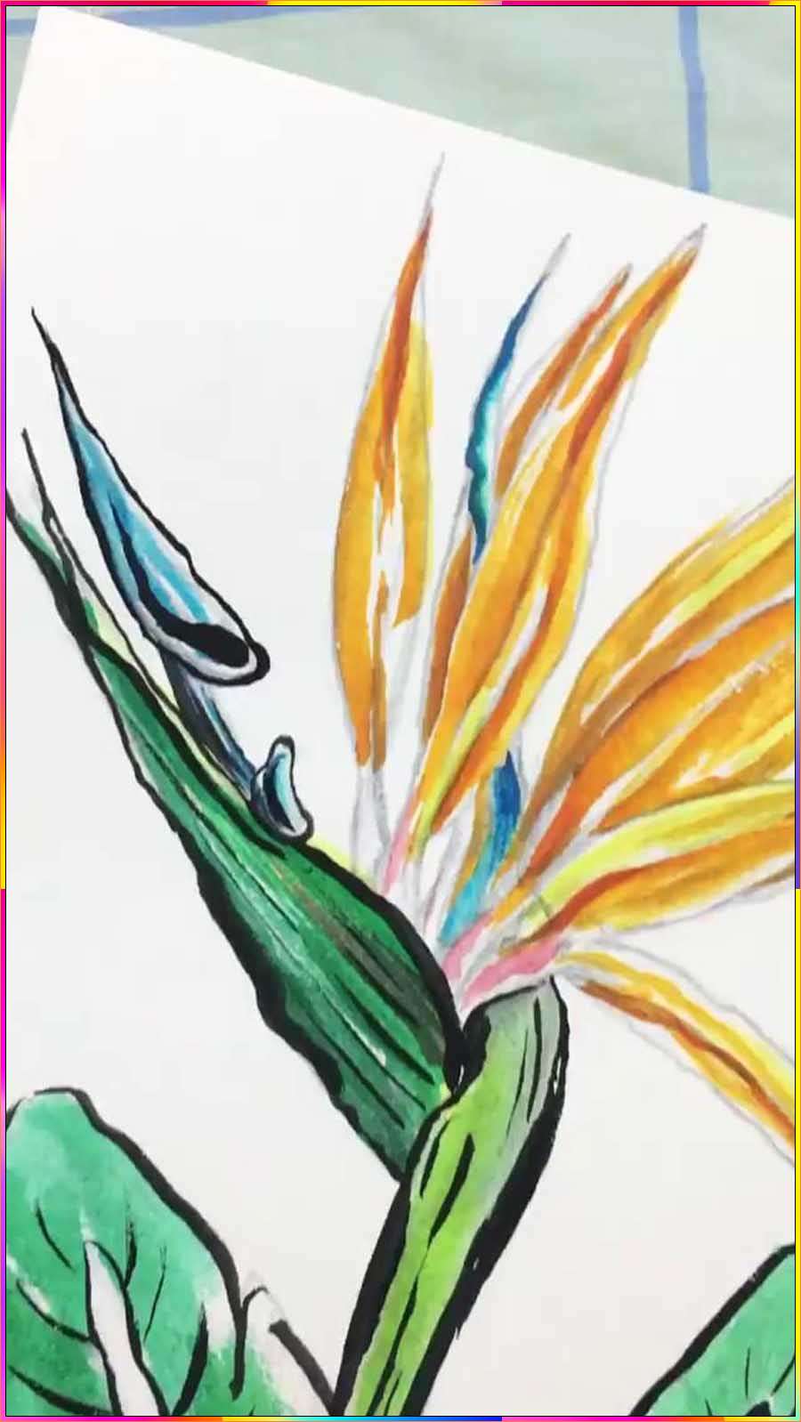 bird of paradise plant drawing