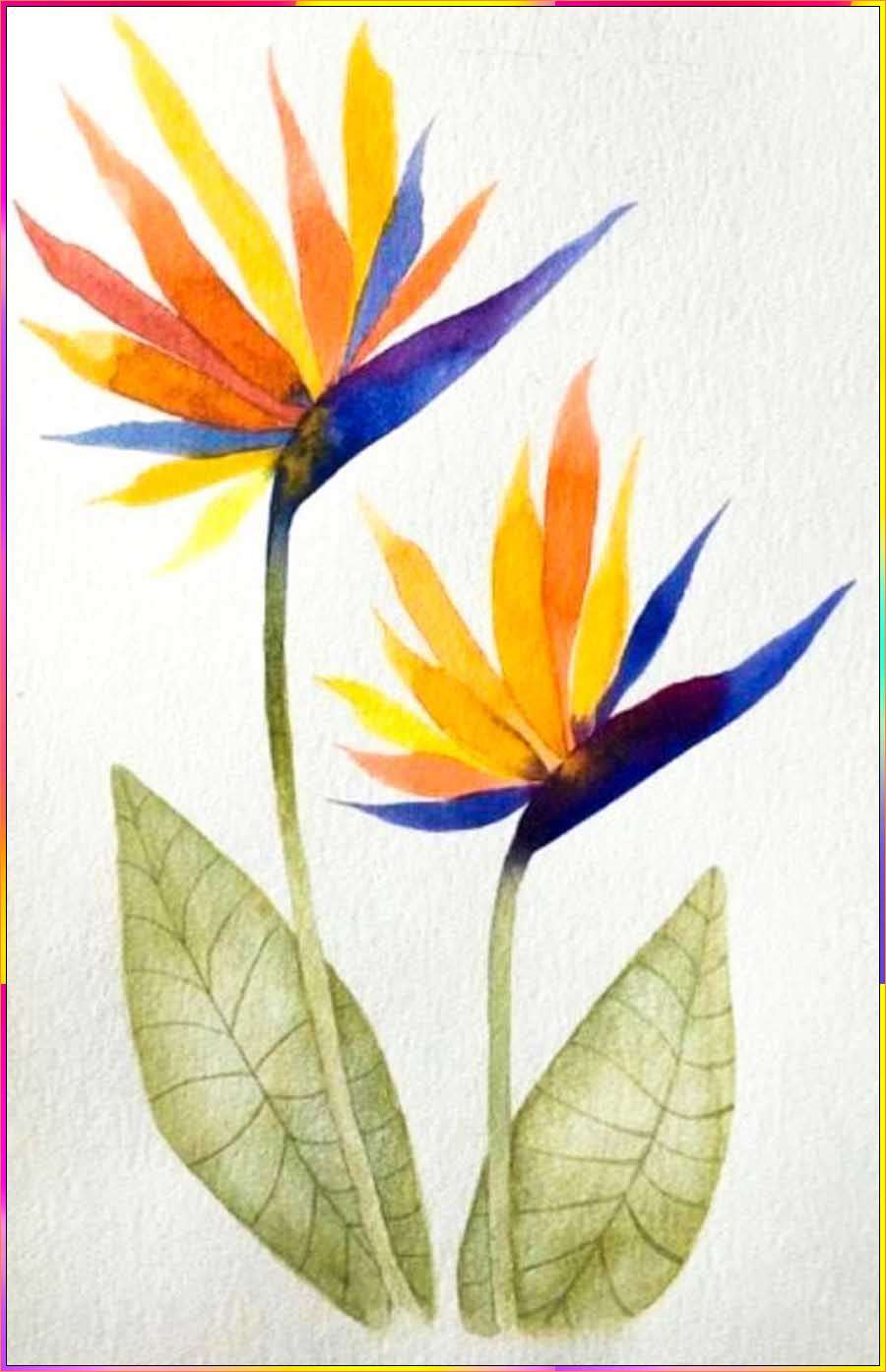 bird of paradise easy to draw for kids
