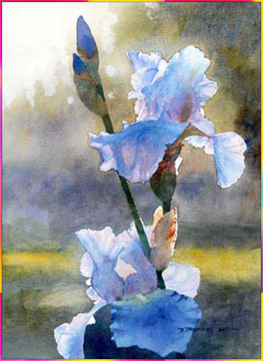 realistic iris flower drawing