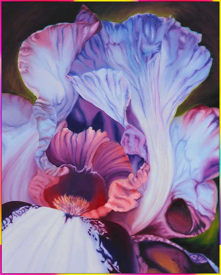 iris flower drawing