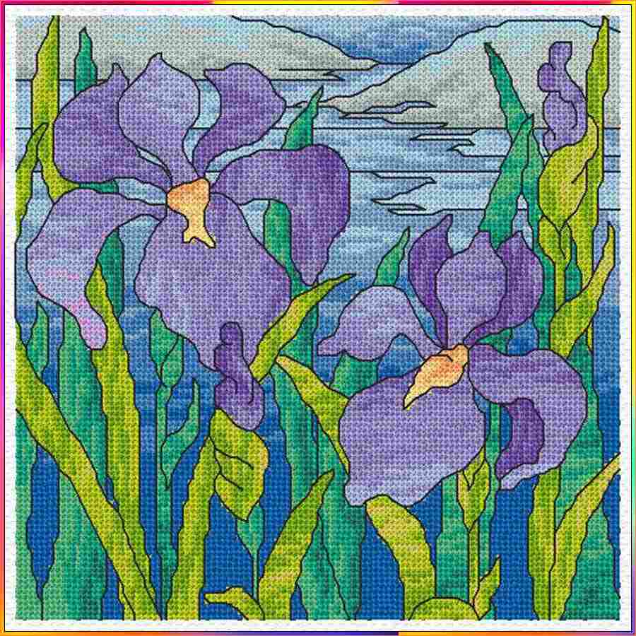 iris flower simple drawing