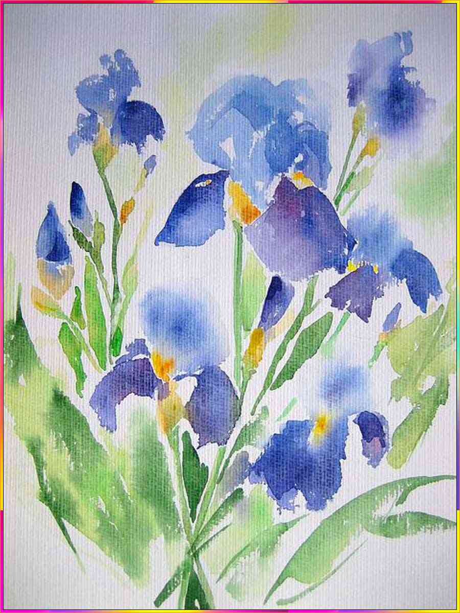 drawing iris flowers