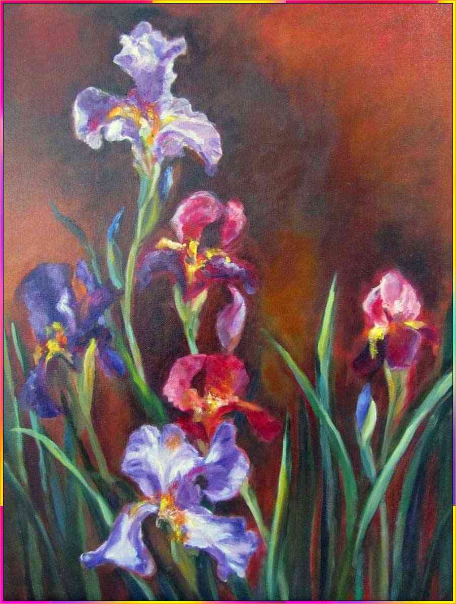 iris flower drawings