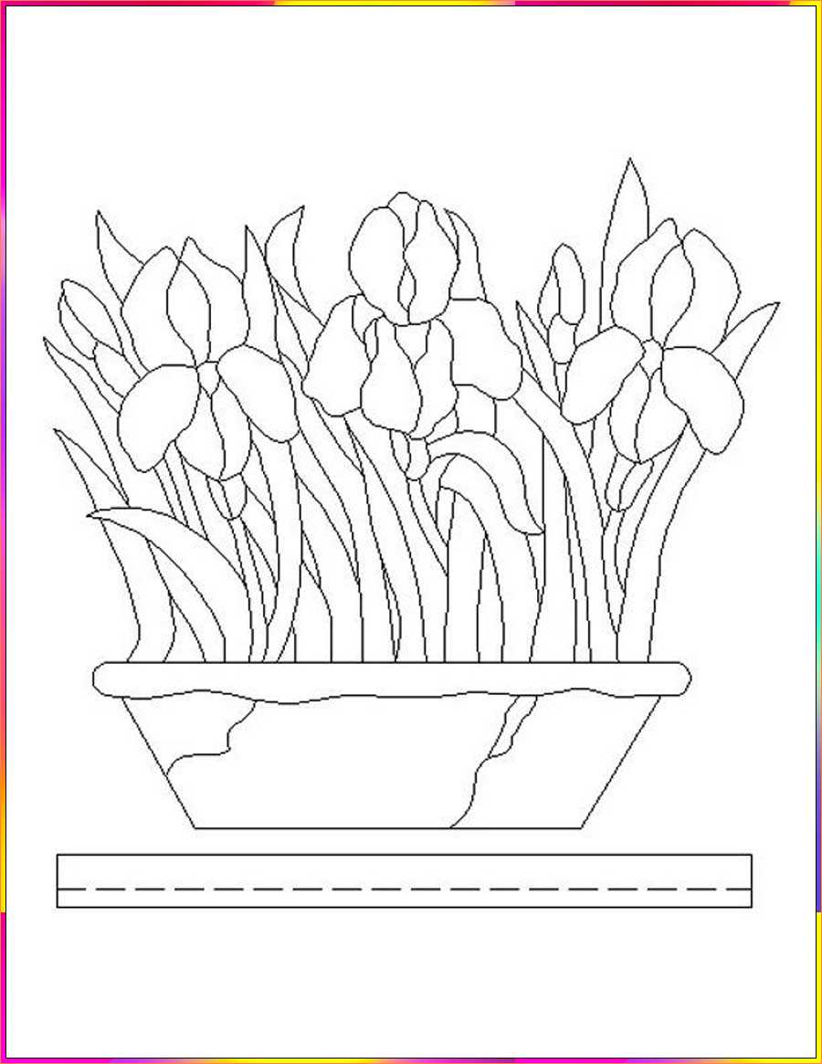 iris flower drawing images