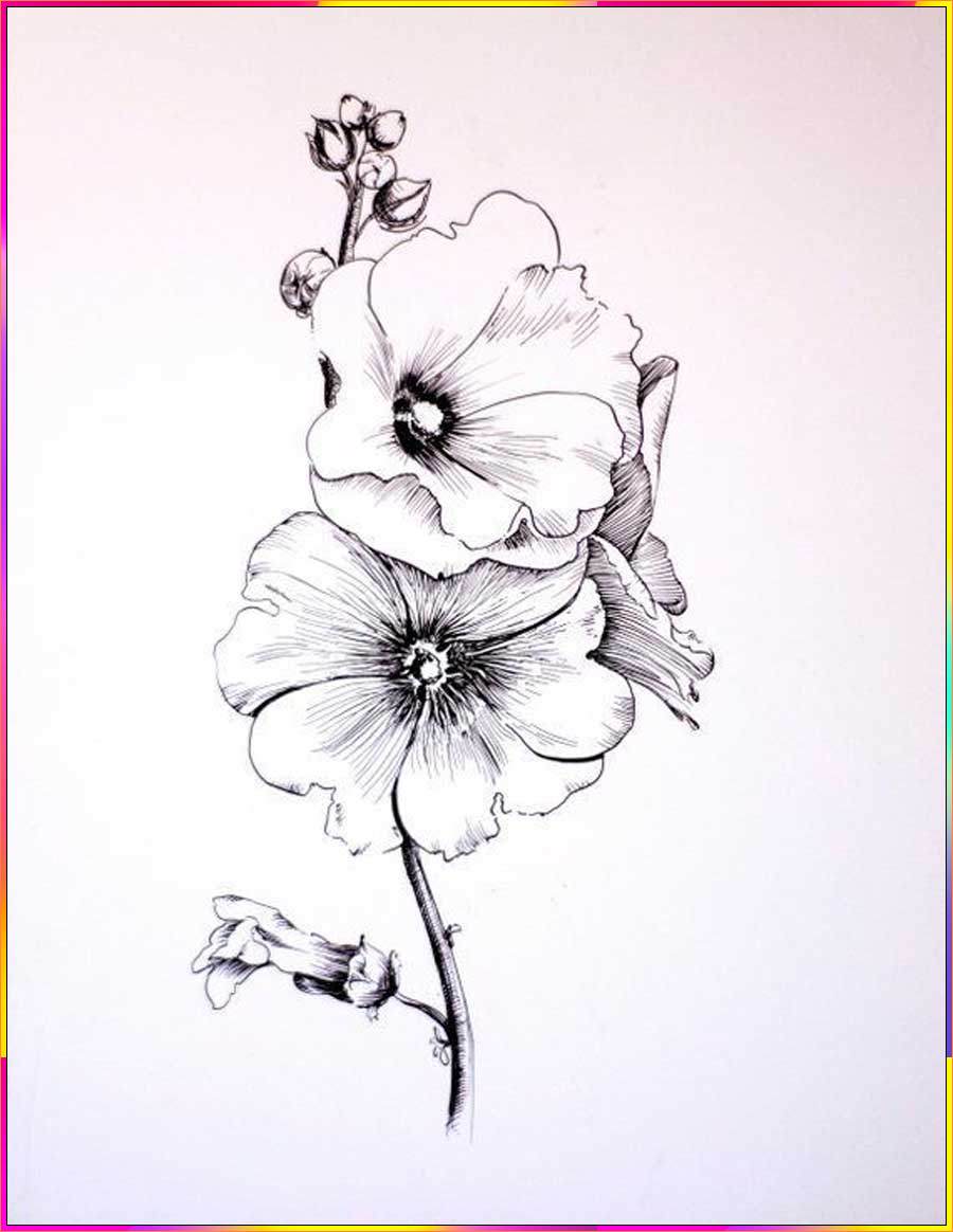 simple pansy drawing