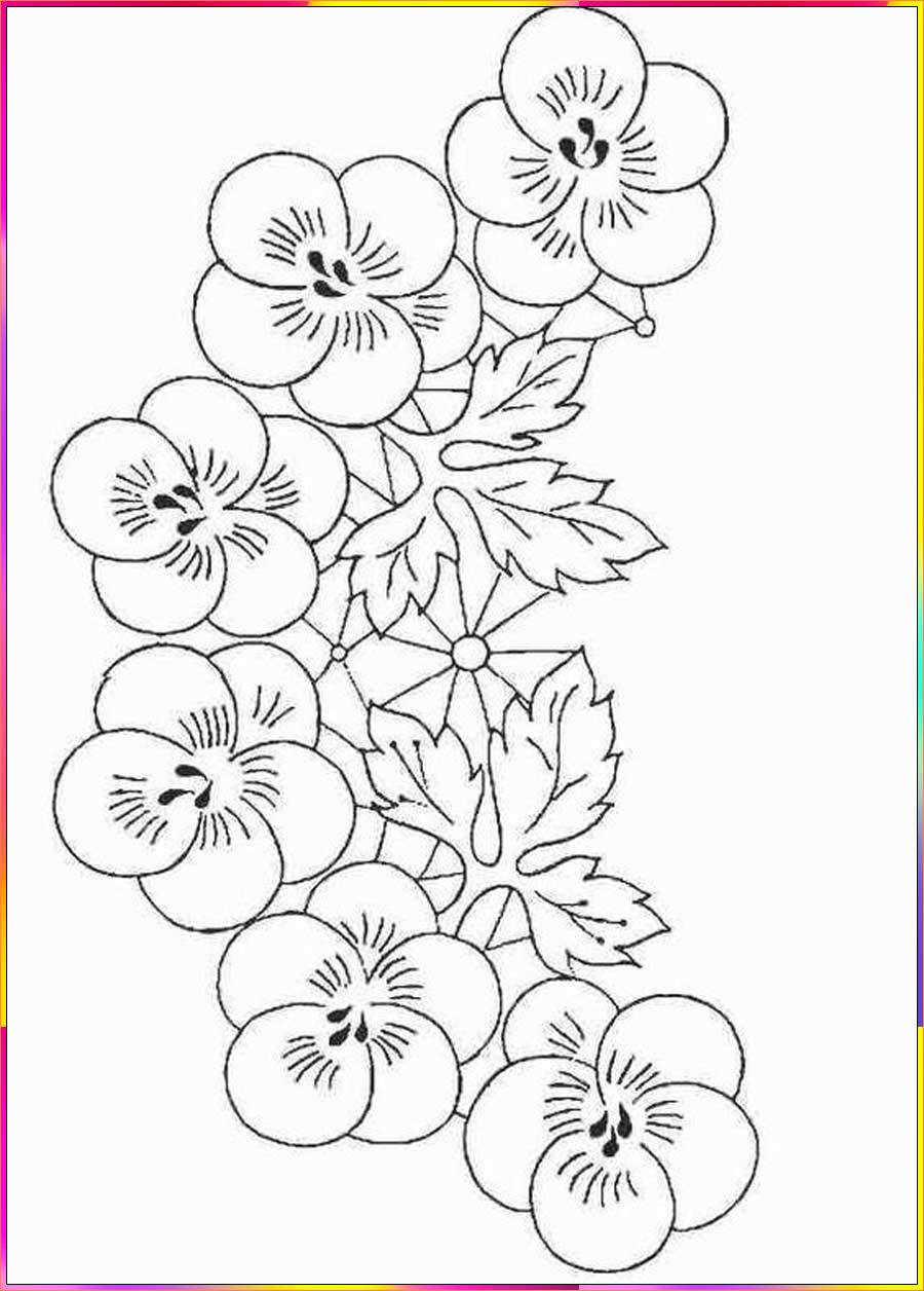 easy pansy drawing