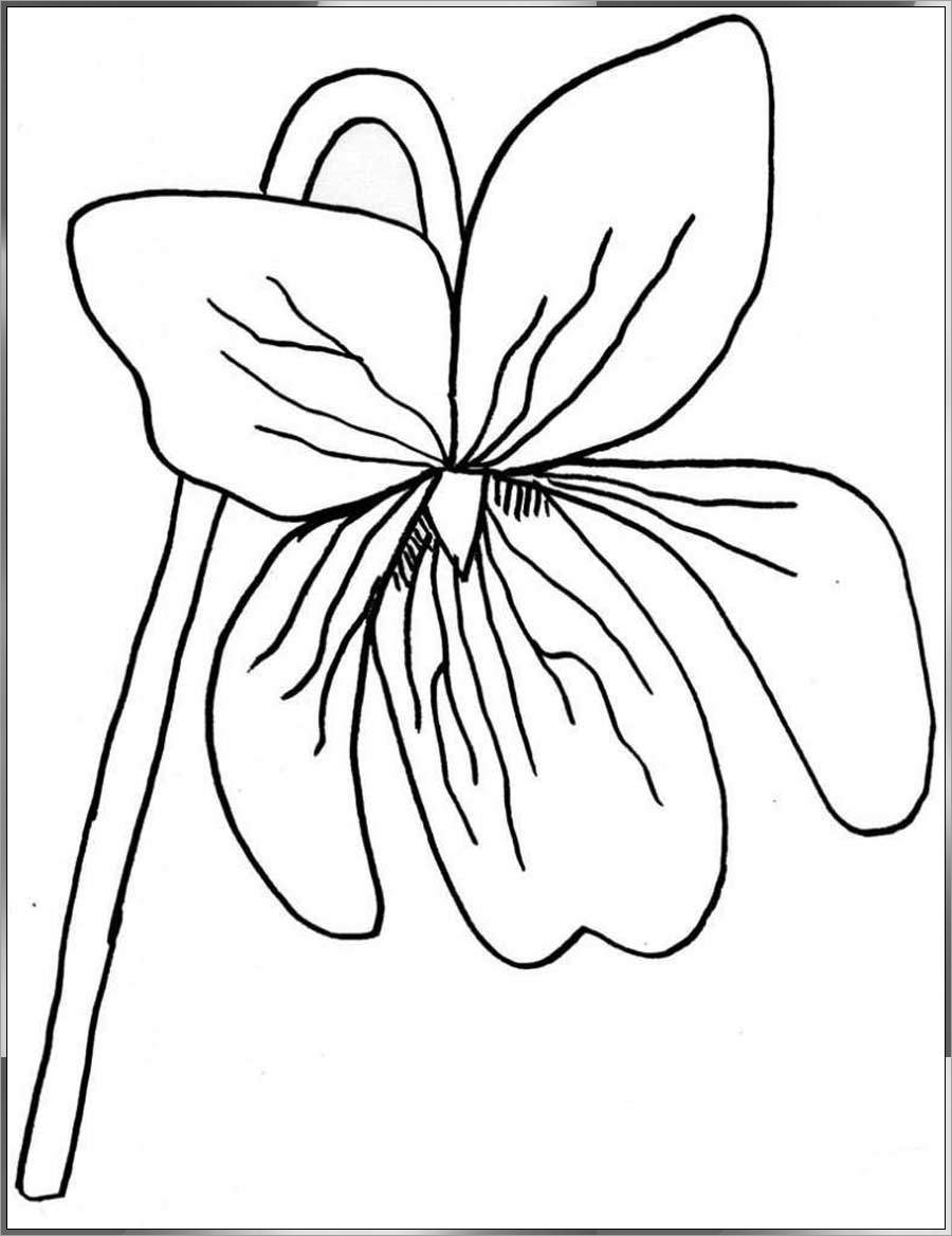 pansy drawing easy