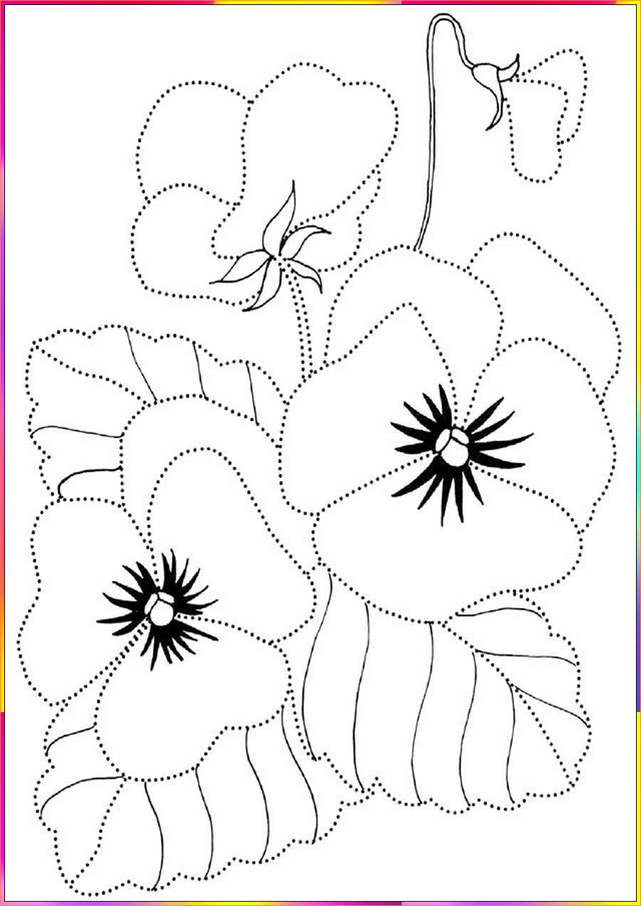 simple flower pansy drawings