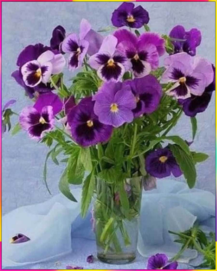 pictures of pansies to draw