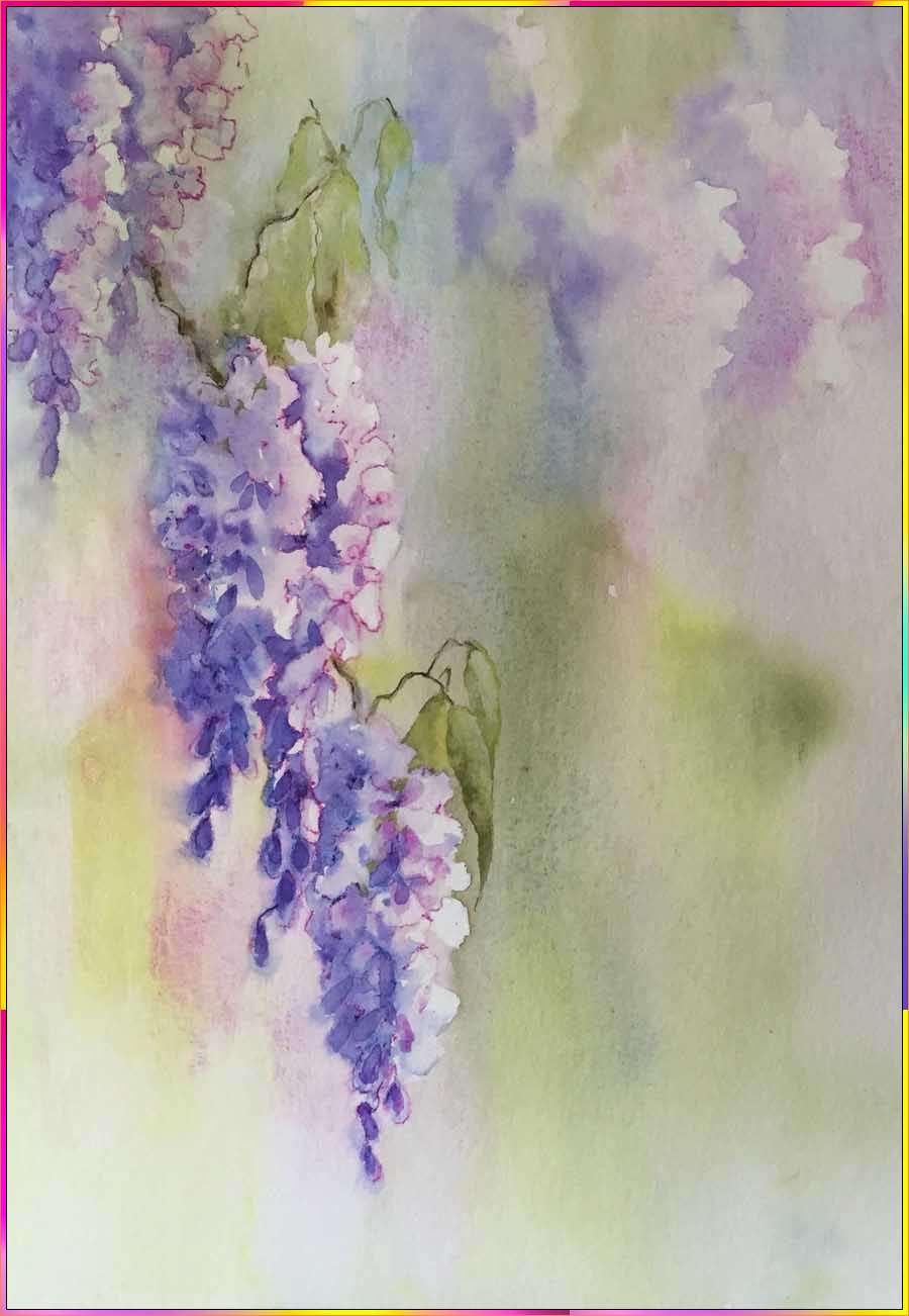 drawing of wisteria