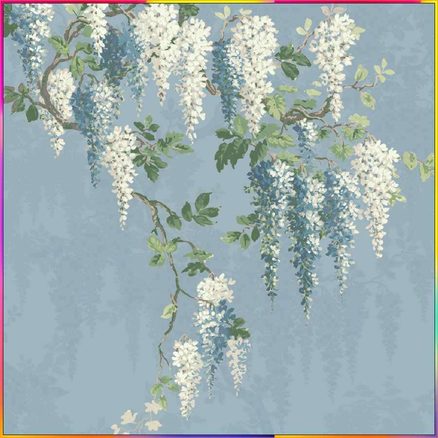 wisteria flowers drawing