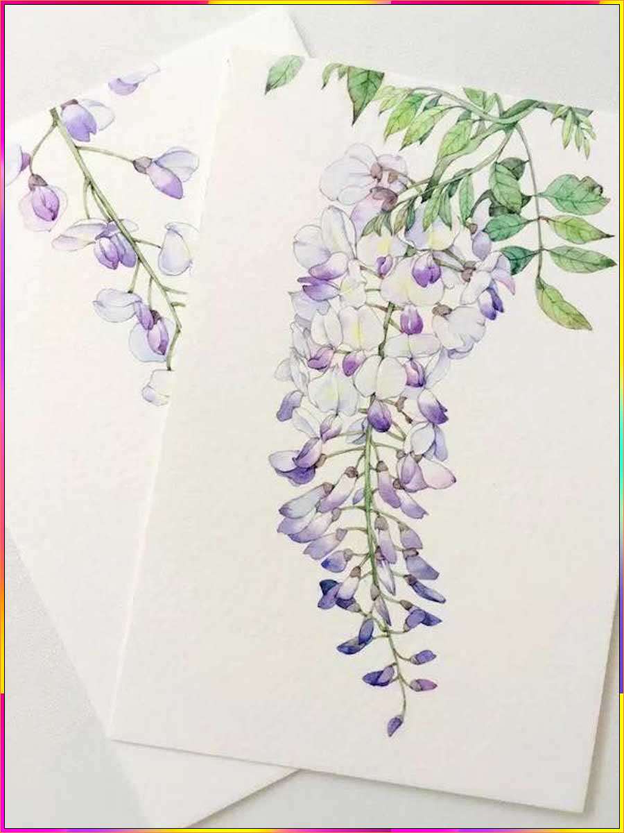 wisteria drawing easy
