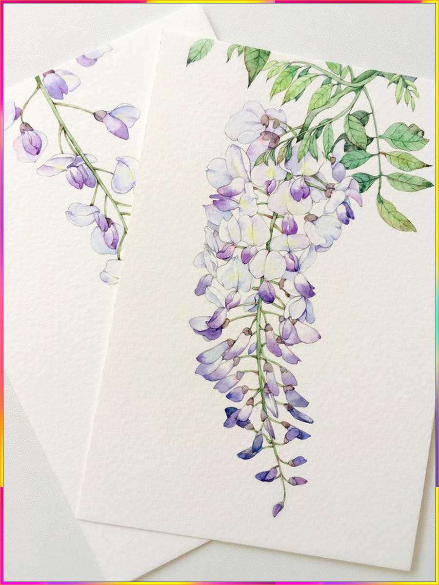 wisteria drawing images