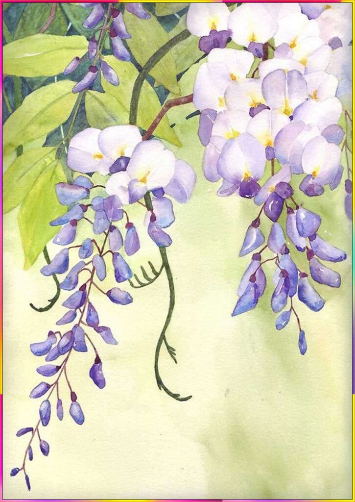 simple wisteria drawing