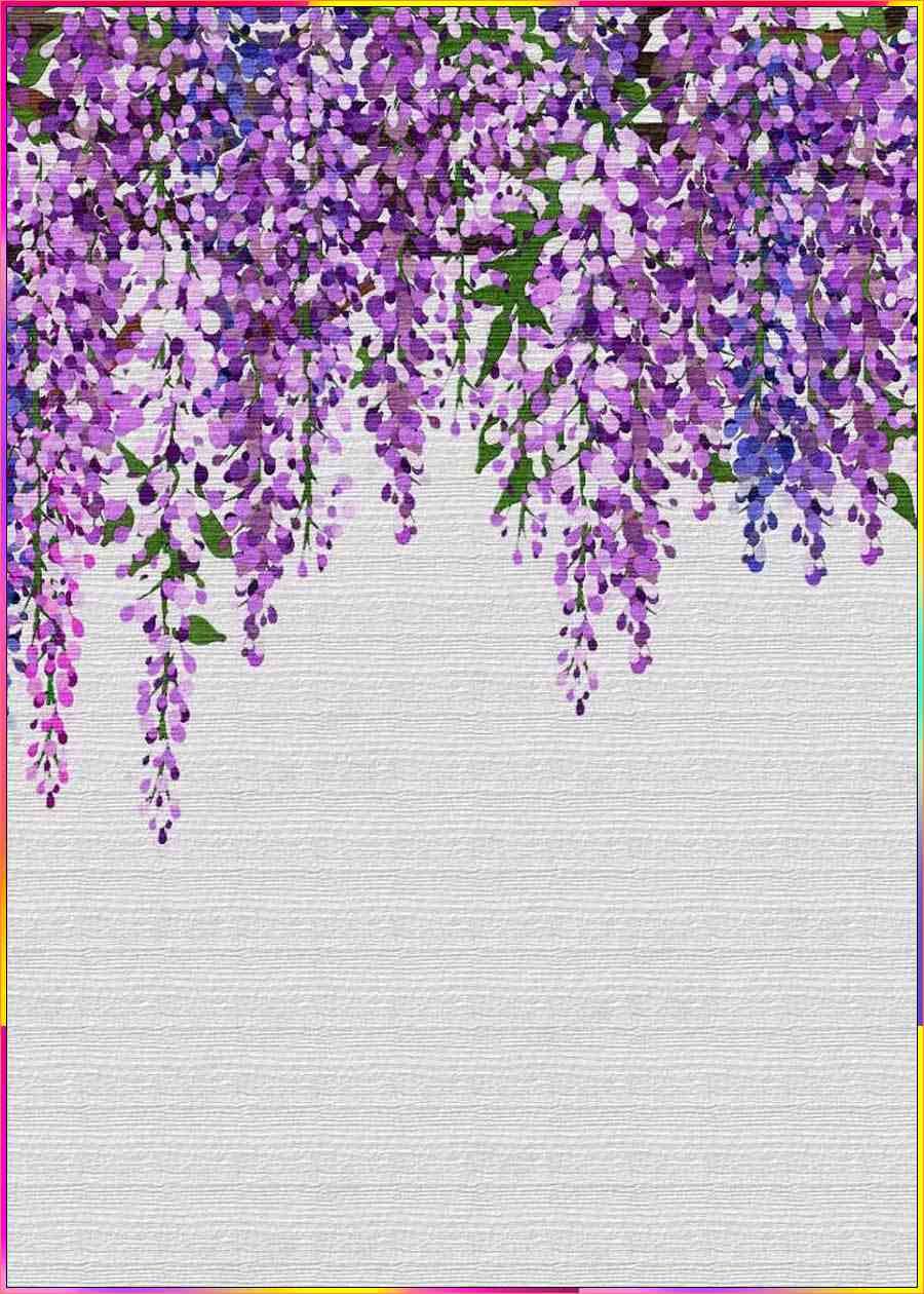 wisteria line drawing